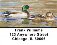 Dabbling Mallard Ducks Address Labels | LBBAE-82