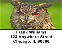 Eyes Of An Owl Address Labels | LBBAE-83