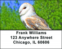 Eyes Of An Owl Address Labels | LBBAE-83