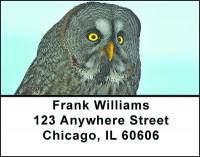 Eyes Of An Owl Address Labels | LBBAE-83