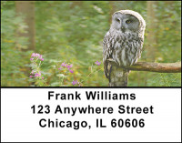 Owls On Break Address Labels | LBBAE-84