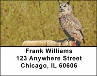 Owls On Break Address Labels | LBBAE-84