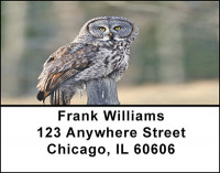 Owls On Break Address Labels | LBBAE-84