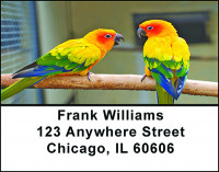 Pretty Parakeets Address Labels | LBBAE-85