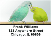 Pretty Parakeets Address Labels | LBBAE-85
