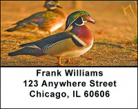 Colorful Wood Ducks Address Labels | LBBAE-89