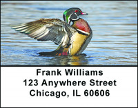 Colorful Wood Ducks Address Labels | LBBAE-89