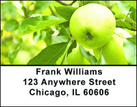 Apples Galore Address Labels | LBBAE-90