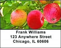 Apples Galore Address Labels | LBBAE-90