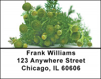 Chamomile Collection Address Labels | LBBAE-93