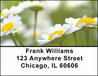 Chamomile Collection Address Labels | LBBAE-93