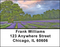 Essence of Lavender Address Labels | LBBAE-94