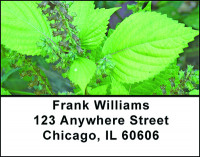 Peppermint Essentials Address Labels | LBBAE-95