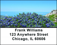 Rosemary Rosmarinus Address Labels | LBBAE-96