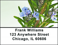 Rosemary Rosmarinus Address Labels | LBBAE-96