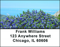 Aromatic Rosemary Address Labels | LBBAE-97