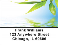 Bamboo on Water Address Labels | LBBAE-99