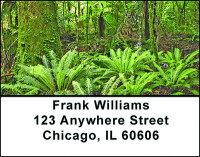 A Day In A Rainforest Address Labels | LBBAF-09