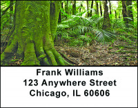 A Day In A Rainforest Address Labels | LBBAF-09
