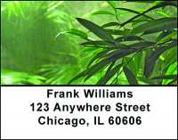 A Day In A Rainforest Address Labels | LBBAF-09