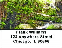 A Day In A Rainforest Address Labels | LBBAF-09