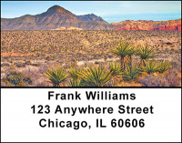 Cactus In The Desert Address Labels | LBBAF-19