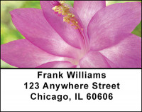 Cactus Desert Flowers Address Labels | LBBAF-20