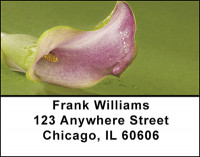 Calla Lily Address Labels | LBBAF-21