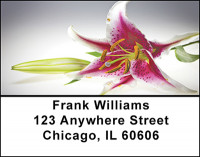 The Lily Address Labels | LBBAF-22