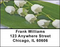 The Lily Address Labels | LBBAF-22