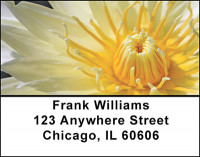The Lily Address Labels | LBBAF-22