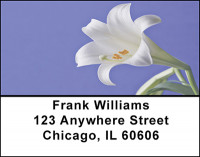 The Lily Address Labels | LBBAF-22