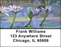 Lotus Buds Address Labels | LBBAF-23