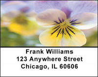 Pansies Address Labels | LBBAF-25
