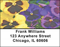Pansies Address Labels | LBBAF-25