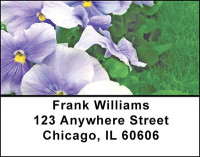 Pansies Address Labels | LBBAF-25