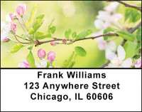 Apple Blossoms Address Labels | LBBAF-26