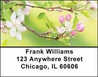 Apple Blossoms Address Labels | LBBAF-26