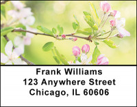 Apple Blossoms Address Labels | LBBAF-26