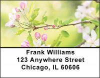 Apple Blossoms Address Labels | LBBAF-26