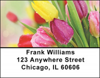 Tulips in Bloom Address Labels | LBBAF-27