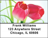 Tulips in Bloom Address Labels | LBBAF-27