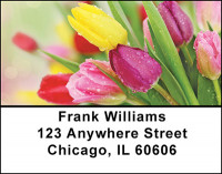 Tulips in Bloom Address Labels | LBBAF-27