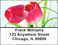 Tulips in Bloom Address Labels | LBBAF-27