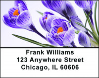 Spring Flowers Address Labels | LBBAF-28