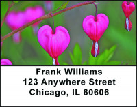 Spring Flowers Address Labels | LBBAF-28