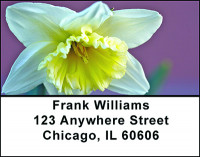 Spring Blossoms Address Labels | LBBAF-29