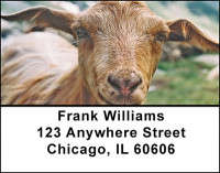 Billy Goats Address Labels | LBBAF-43