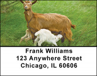 Billy Goats Address Labels | LBBAF-43