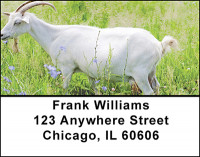 Billy Goats Address Labels | LBBAF-43